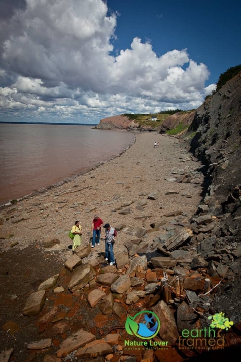 3358952413 Joggins Fossil Cliffs In Nova Scotia