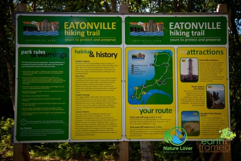 478384799 Eatonville Trail At Cape Chignecto Provincial Park In Nova Scotia