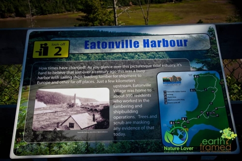 624517485 Eatonville Trail At Cape Chignecto Provincial Park In Nova Scotia