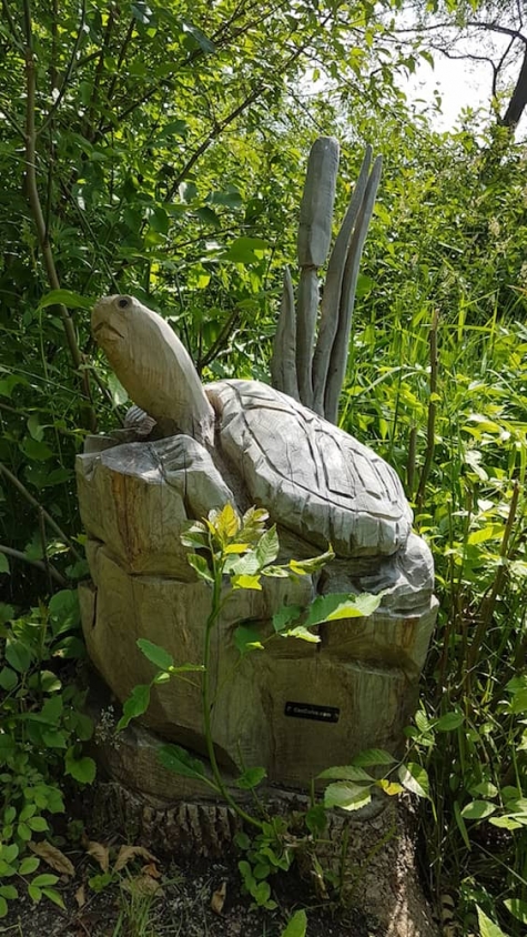 1425112053 Tree Carvings and Snapping Turtles at Southampton's Fairy Lake - Watch the Video!
