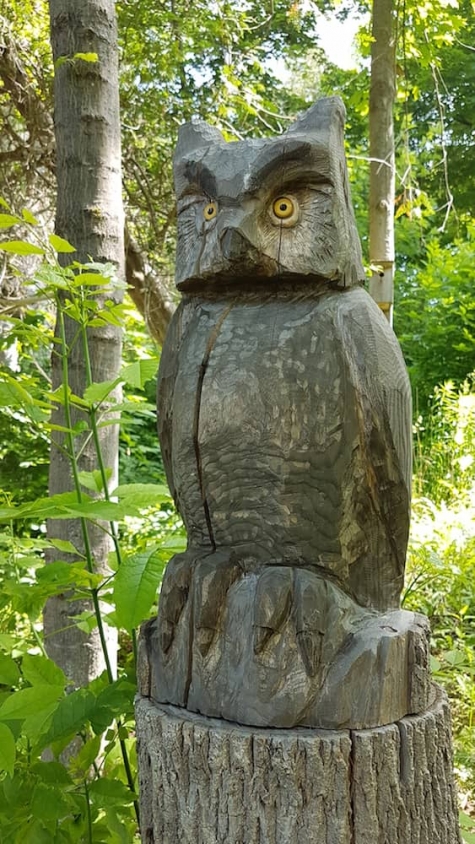 3489111925 Tree Carvings and Snapping Turtles at Southampton's Fairy Lake - Watch the Video!