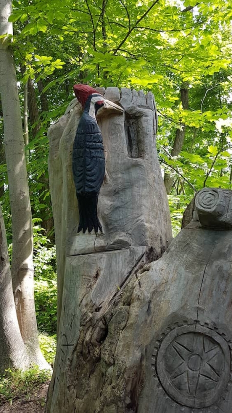 634273796 Tree Carvings and Snapping Turtles at Southampton's Fairy Lake - Watch the Video!