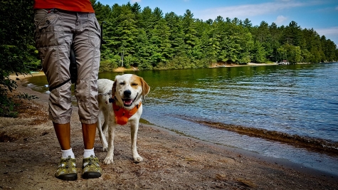 2889437225 Chloe The Foxhound Loved Bon Echo Provincial Park - Watch the Video!