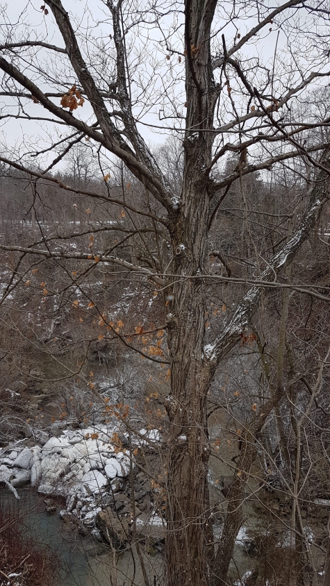 115327596 Winter Views Of Rock Glen And The Falls, Arkona, Ontario - Watch the Video!
