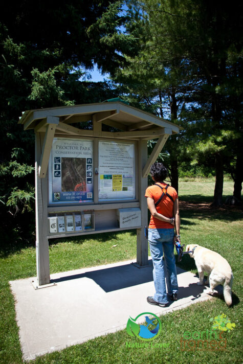 2169418988 Gorgeous Trail At Proctor Park Conservation Area, Brighton