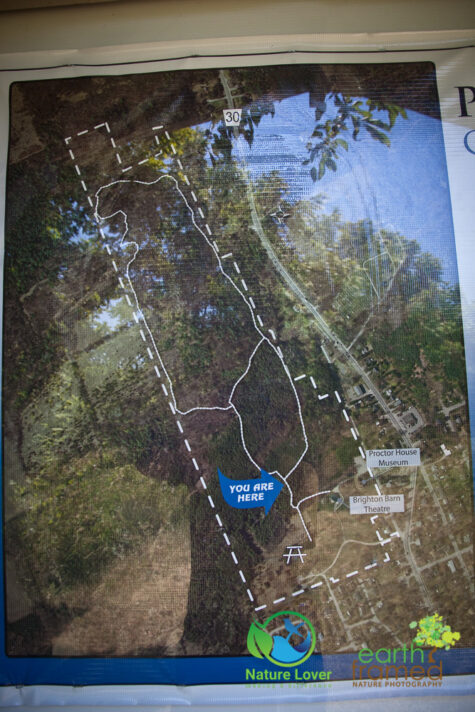 1008572880 Gorgeous Trail At Proctor Park Conservation Area, Brighton