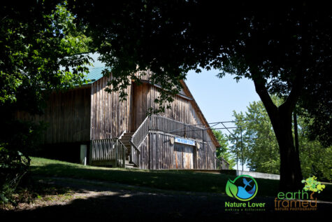 2331396161 Gorgeous Trail At Proctor Park Conservation Area, Brighton