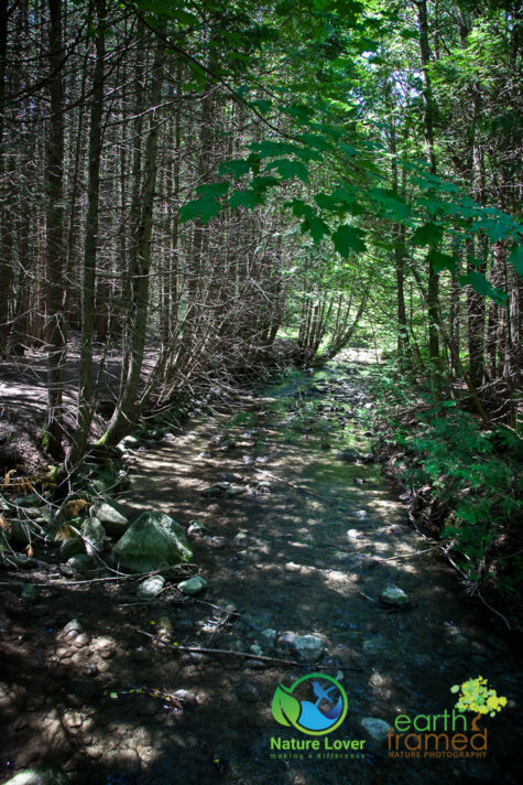 1286366879 Gorgeous Trail At Proctor Park Conservation Area, Brighton