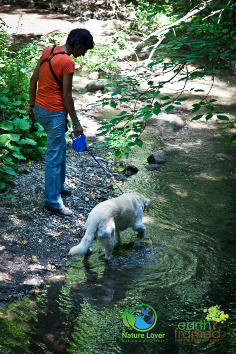675463774 Gorgeous Trail At Proctor Park Conservation Area, Brighton