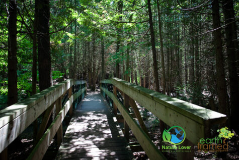 659736615 Gorgeous Trail At Proctor Park Conservation Area, Brighton