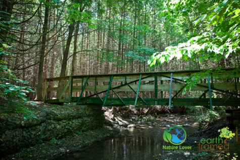 1595754143 Gorgeous Trail At Proctor Park Conservation Area, Brighton