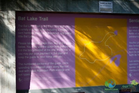 1814906621 Algonquin Park - Bat Lake Trail