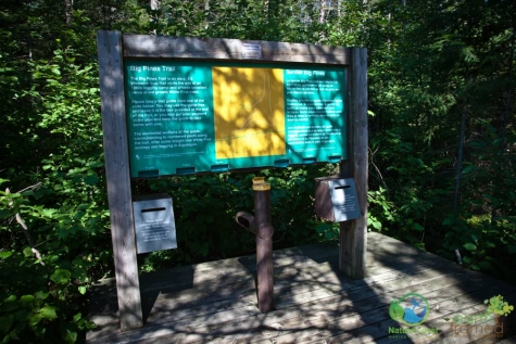 328405547 Algonquin Park - Big Pines Trail