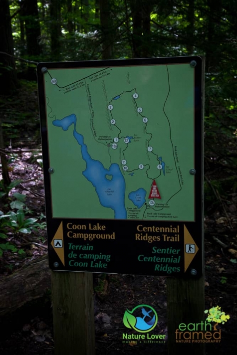 1334006297 Algonquin Park - Centennial Ridges Trail