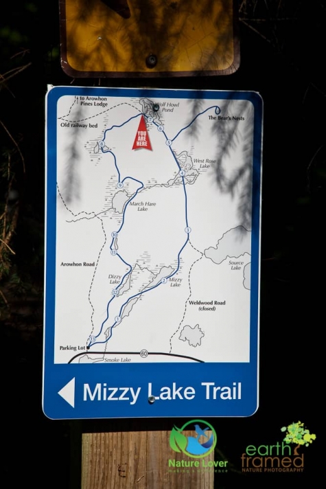 3576379147 Algonquin Park - Mizzy Lake Trail