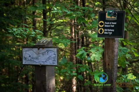 3492493207 Algonquin Park - Track and Tower Trail