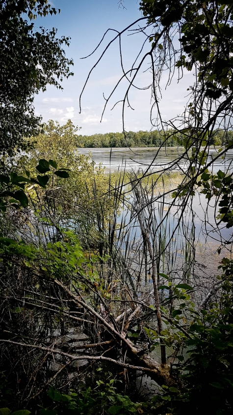 4082803331 Discovering Rideau River Provincial Park For The First Time