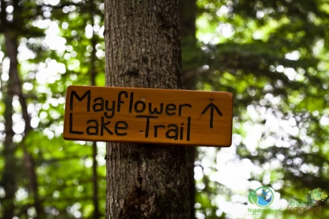 4230426905 Arrowhead - Mayflower Lake Trail