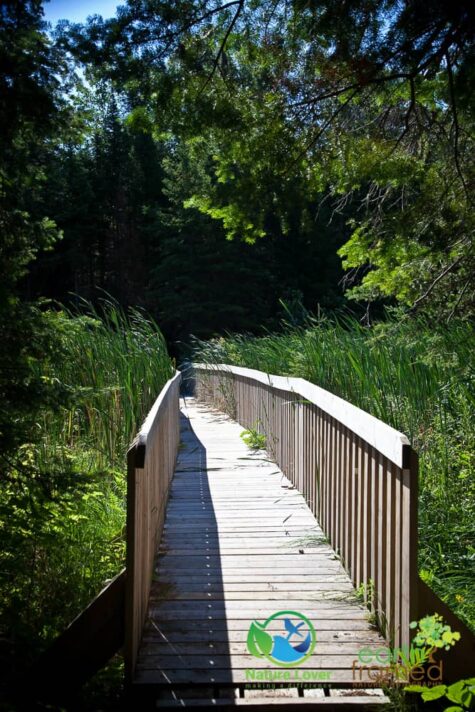 297140732 Grundy Lake's Beaver Dam Trail