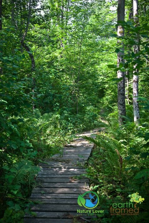1444624877 Grundy Lake's Beaver Dam Trail