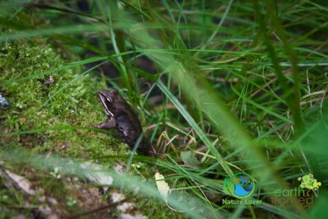 342767505 Grundy Lake's Beaver Dam Trail