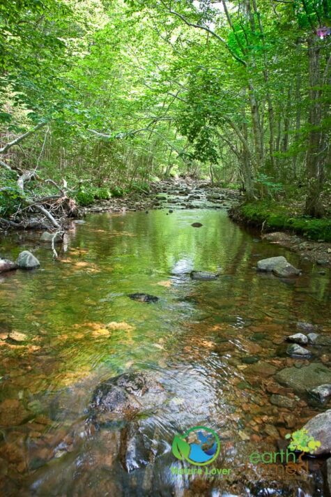 742317625 Staying Cool On Cape Breton Highlands' MacIntosh Brook Trail