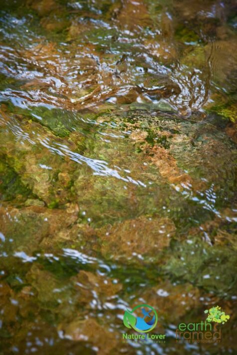 65161251 Staying Cool On Cape Breton Highlands' MacIntosh Brook Trail