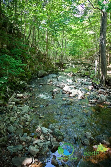 1363482637 Staying Cool On Cape Breton Highlands' MacIntosh Brook Trail