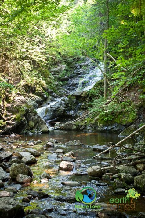 883584515 Staying Cool On Cape Breton Highlands' MacIntosh Brook Trail
