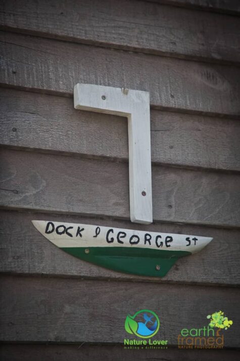 3303610318 The Historic Town Of Shelburne, Nova Scotia