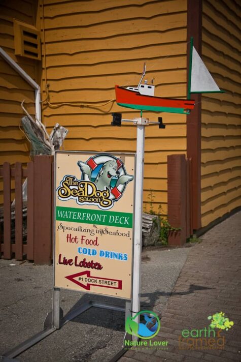 3375155005 The Historic Town Of Shelburne, Nova Scotia