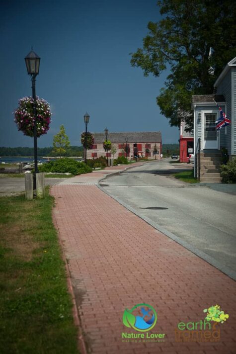 3236647733 The Historic Town Of Shelburne, Nova Scotia