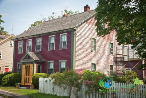 310529619 The Historic Town Of Shelburne, Nova Scotia