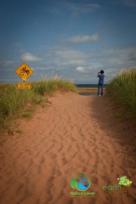 3757488041 Maya Retrieves Clam Shells At Cousins Beach, PEI