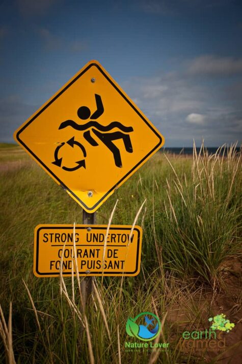 3144618316 Maya Retrieves Clam Shells At Cousins Beach, PEI