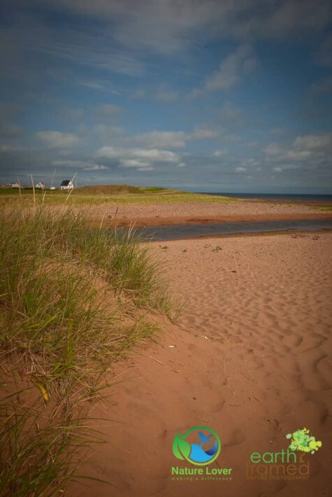 1877180125 Maya Retrieves Clam Shells At Cousins Beach, PEI
