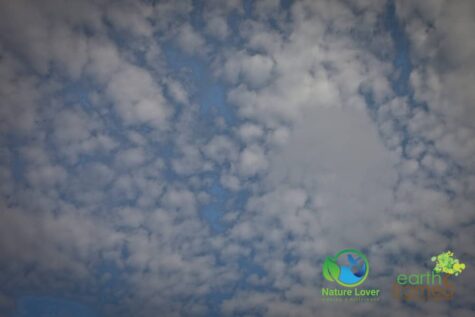 2833633082 Maya Retrieves Clam Shells At Cousins Beach, PEI