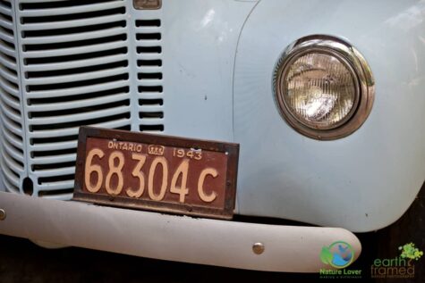 768174310 Algonquin Park - Logging Museum